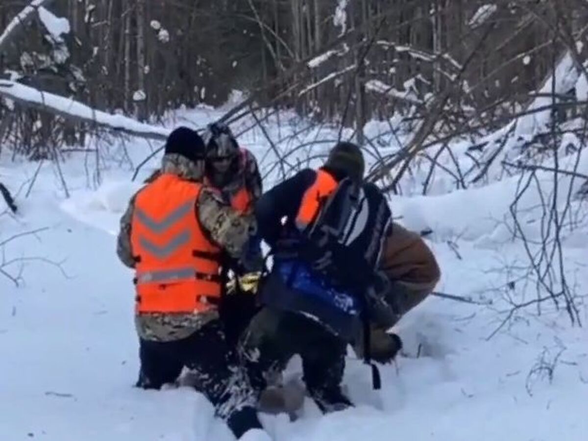 заблудился в лесу