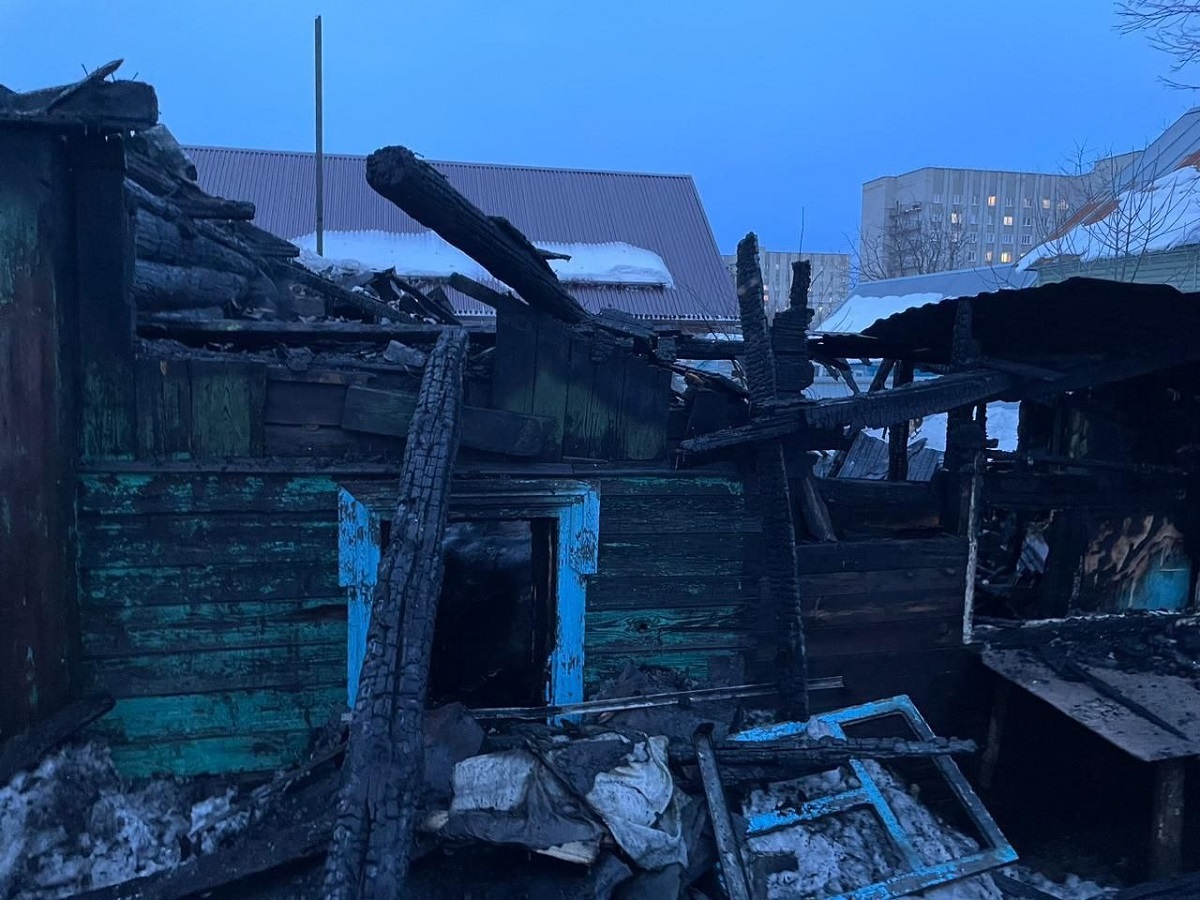 В Тамбовской возбудили дело по факту гибели отца и 9-летнего сына на пожаре