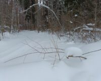 Жителям Комсомольского района пришлось через суд добиваться права отапливать дома