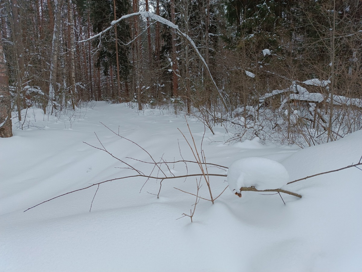 Жителям Комсомольского района пришлось через суд добиваться права отапливать дома