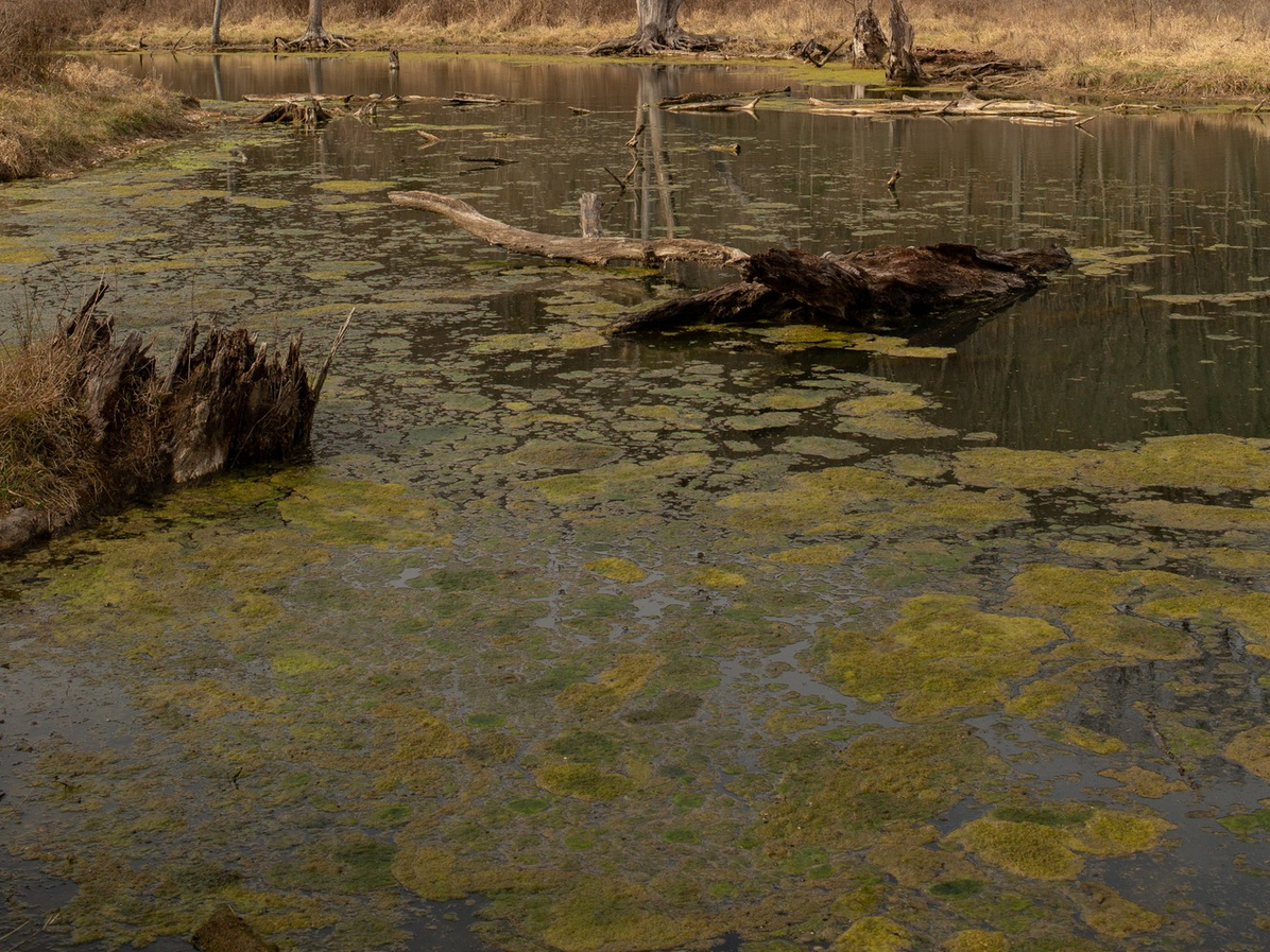 Смоляне поблагодарили мужчину, спасшего ребенка из оврага