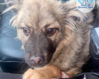 2024-03-26-arni-409470622893