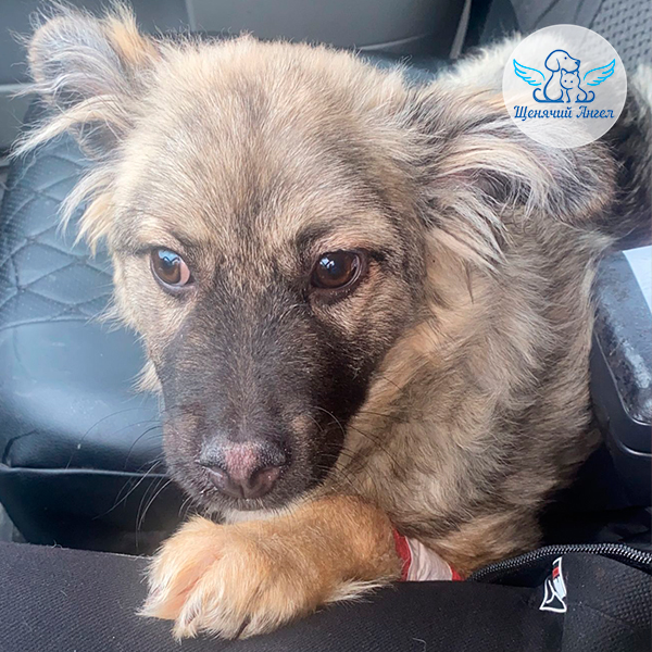 2024-03-26-arni-409470622893