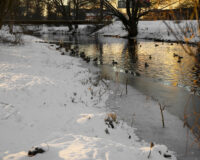 215026458108503380302