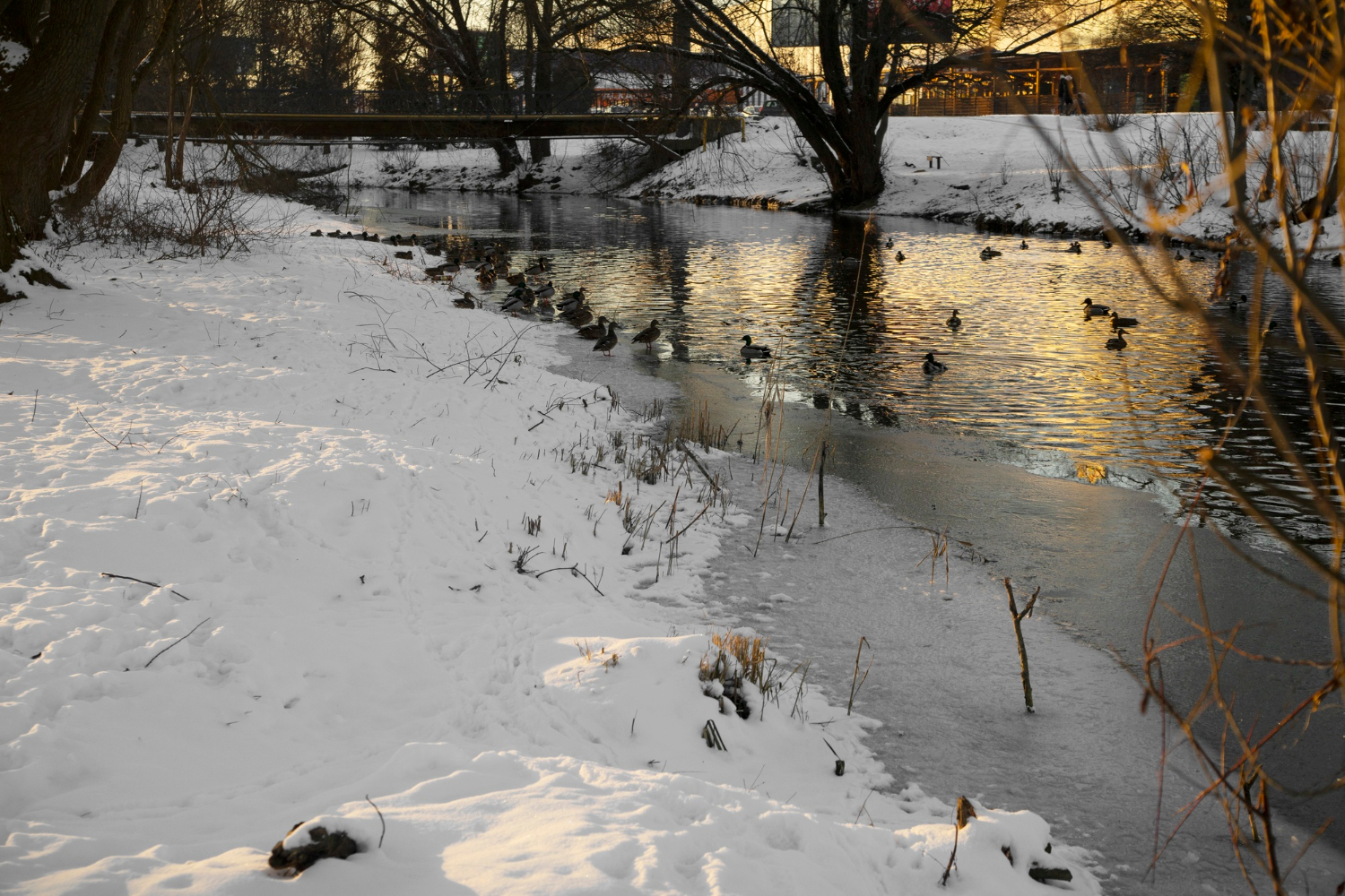 215026458108503380302