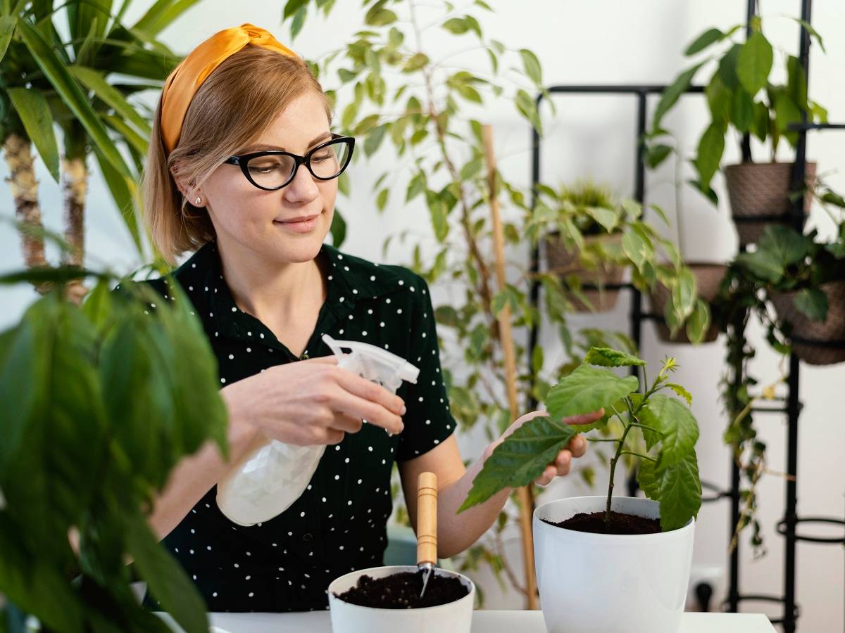 Опытные цветоводы знают секрет: как реанимировать погибающие домашние растения