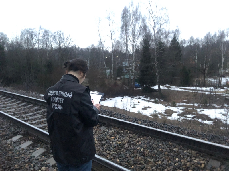 В Тульской области 17-летнего юношу в наушниках сбил рельсовый автобус