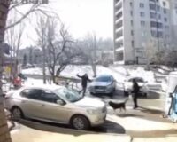 собака молоток