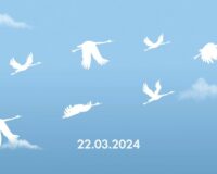 про журавлей