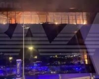 крокус скрин