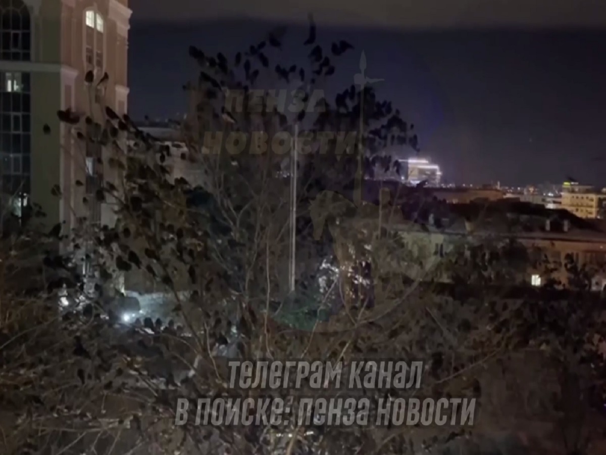 чокнутые вороны