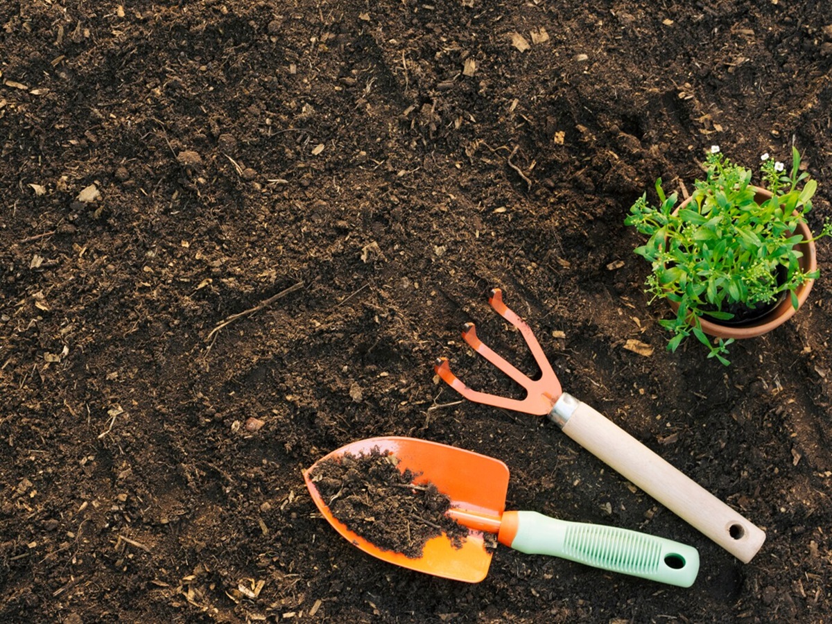 Опытные дачники давно делают так: удобряем грунт этой специей - урожай собираем тележками