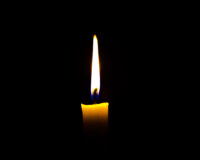 крокус тоже