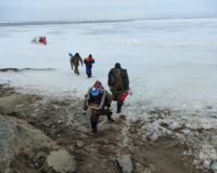 фото с места происшествия