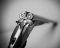 Тамбовчанин попался на случайно подстреленной косуле вместо кабана