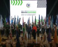 Профессионалы 2024