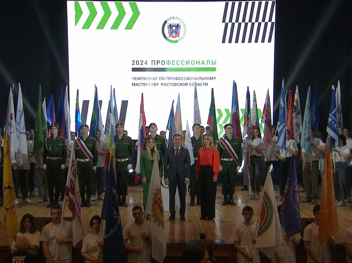 Профессионалы 2024