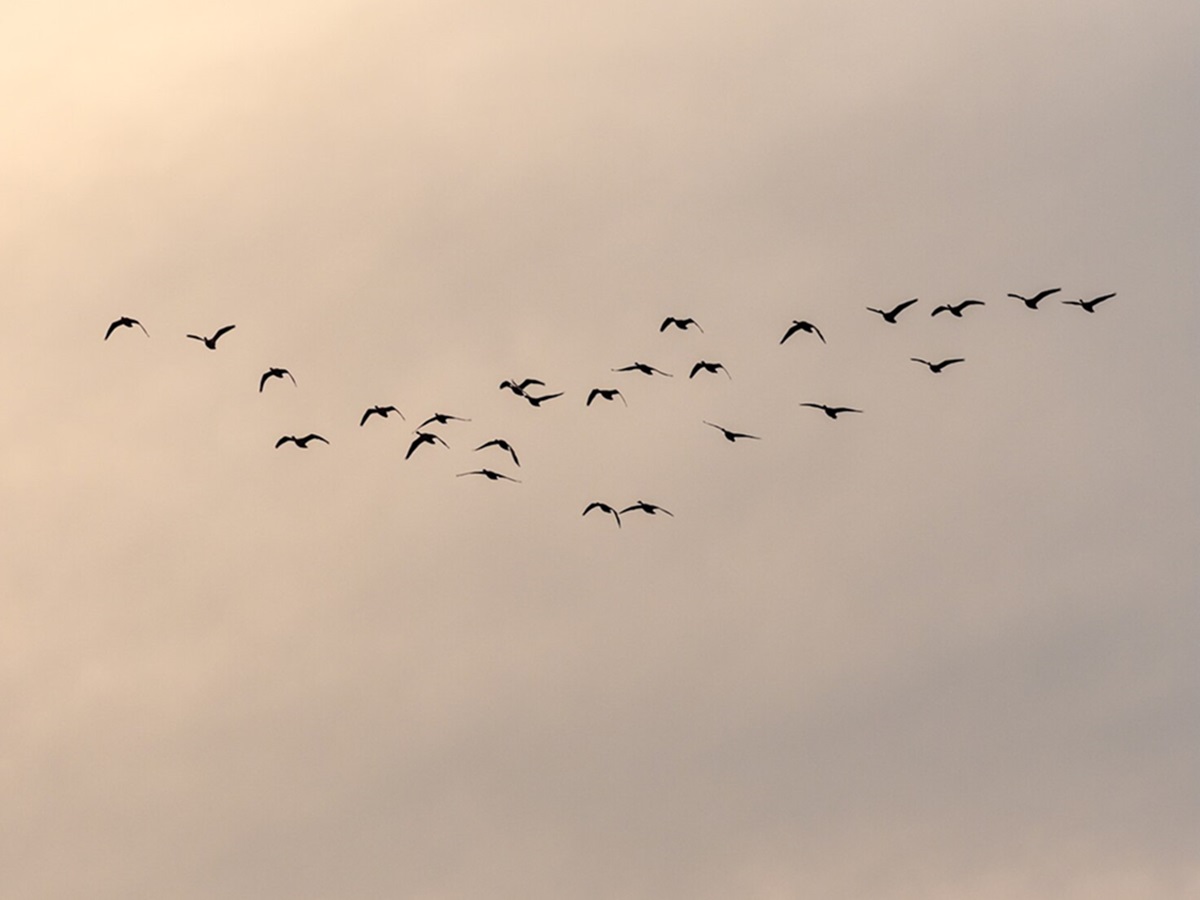 Любуйтесь закатом, но откажитесь от покупок: традиции и приметы на 28 марта