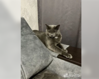 snimok-ekrana-2024-03-12-14073911085679848