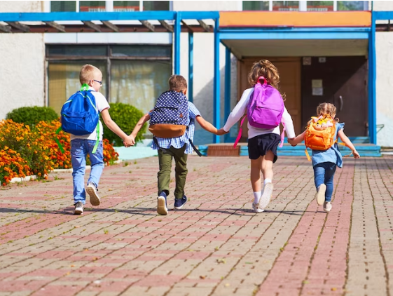 Отбор детсадов и школ под капремонт в Смоленской области стартует в августе