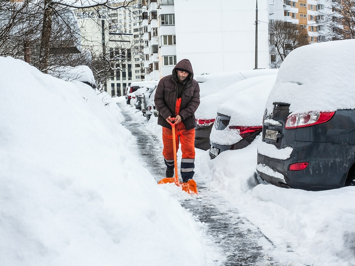 Сугробы в Москве исчезнут на глазах: Вильфанд рассказал о странном явлении погоды в марте