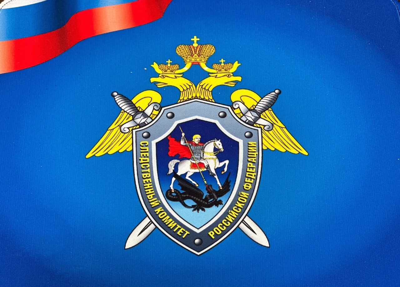 Скандал в Великом Новгороде: пенсионерка облила краской урну для голосования