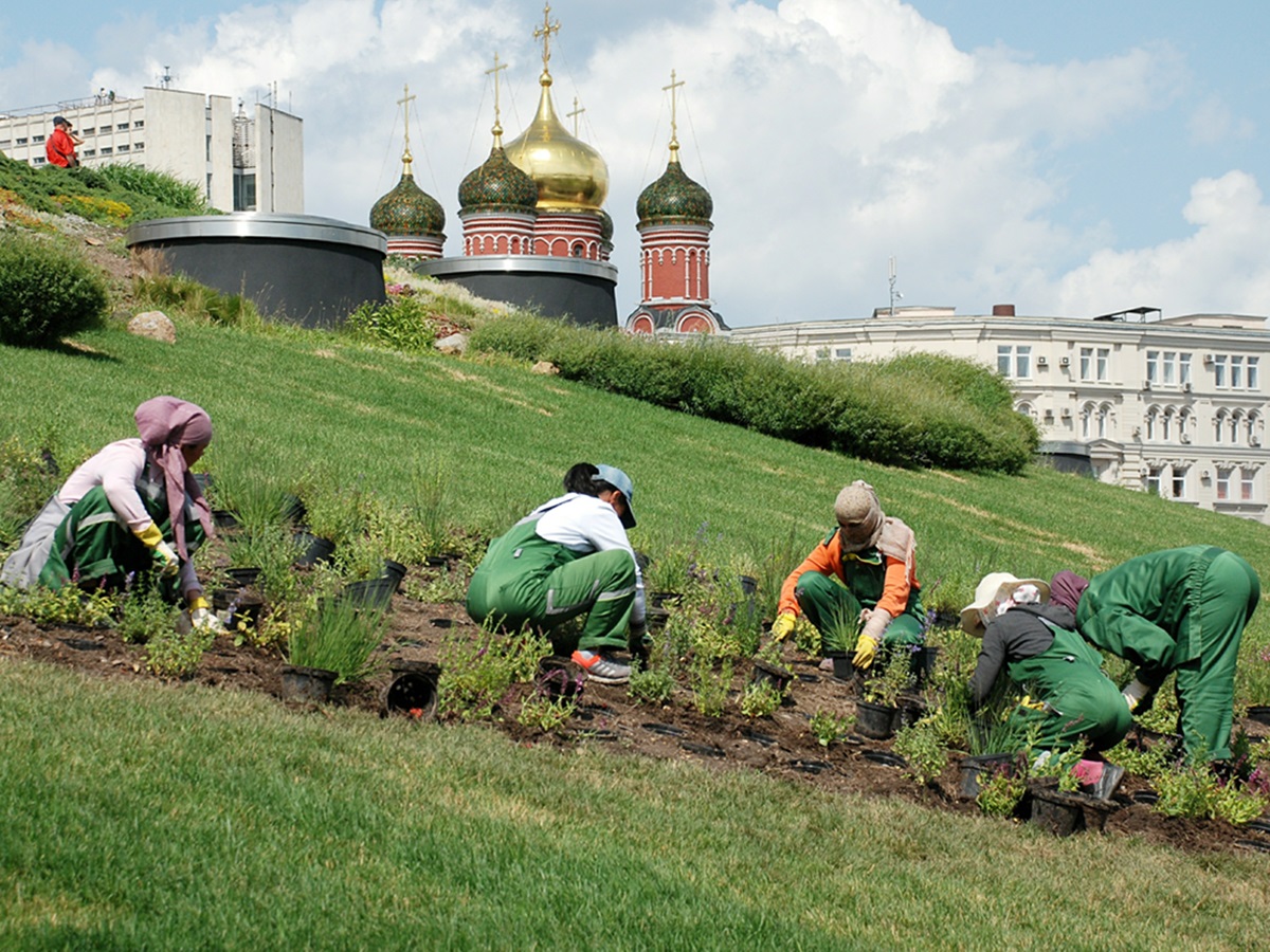 Зима так быстро не отступит: Вильфанд раскрыл, когда наступит долгожданное тепло