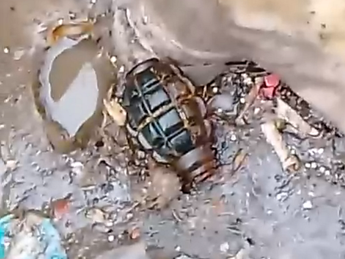 64:2 столбиком. 48+/+6. Вычисли 0,2². Вычислите 0 62. Вычислите 0,75.