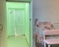 vpqjg8cjggk08244821248