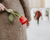 букет в снегу