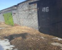 В городе Рязани неизвестные люди травят бездомных собак