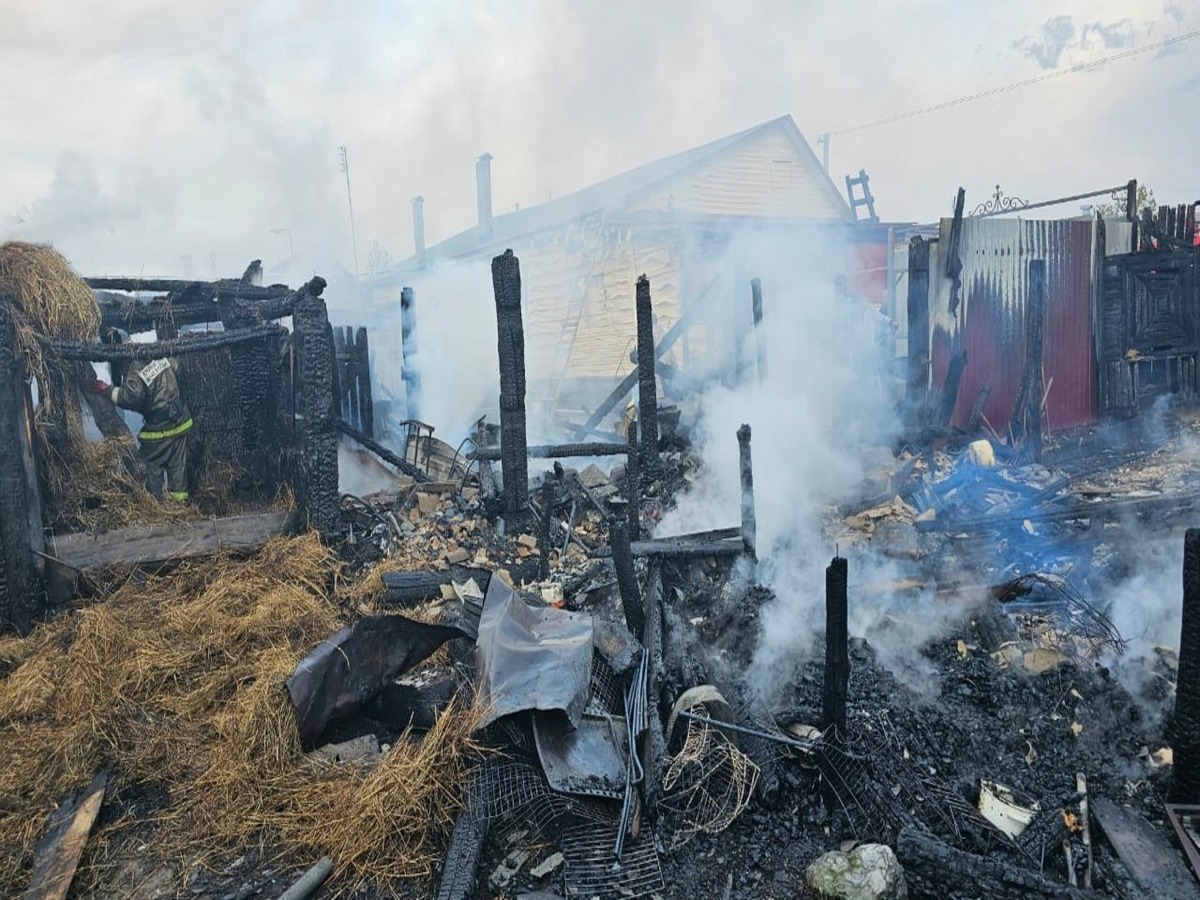 В Рязанской области в Шацком районе сгорел гараж с легковым автомобилем