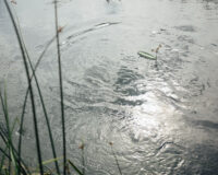 214821421007215684583