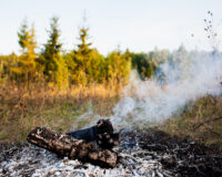 В связи с режимом повышенной опасности в Смоленске введен ряд запретов