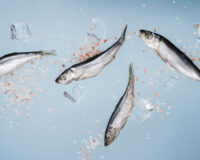 214875486102175563138