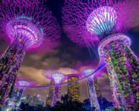 Уголок путешественника: 5 запрещавшихся продуктов в разных странах мира