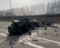 В Тамбовской области в ДТП с фурой в смятой легковушке погиб водитель