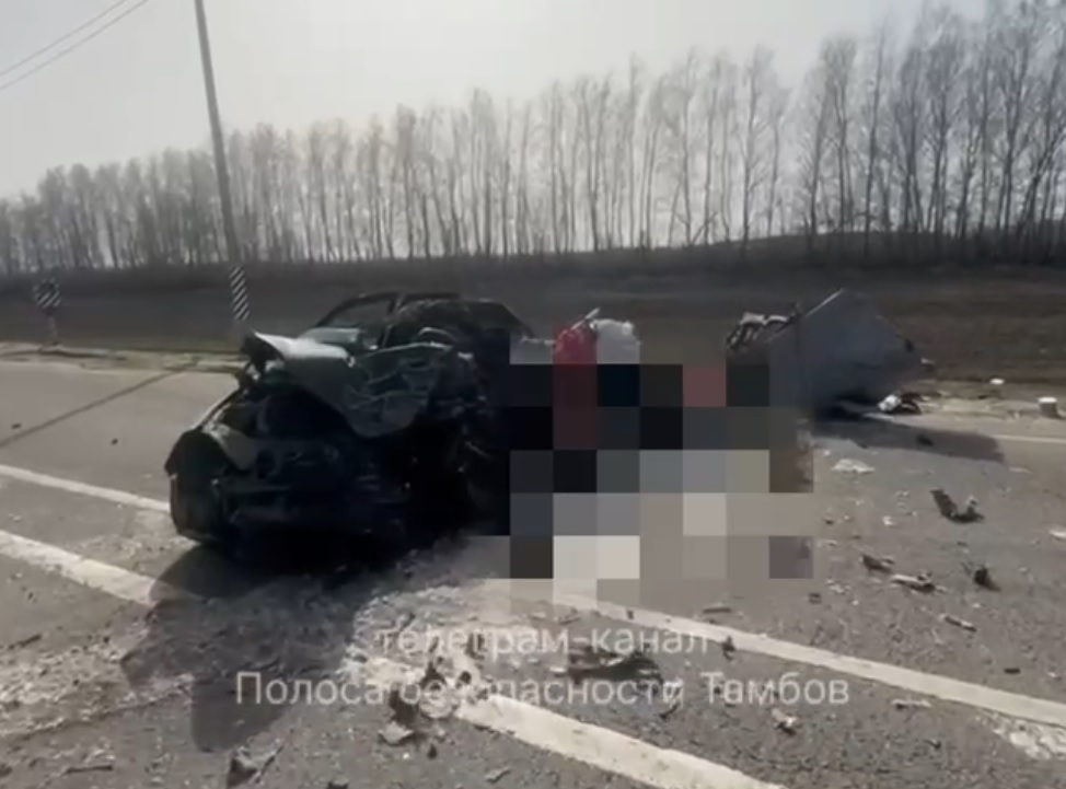 В Тамбовской области в ДТП с фурой в смятой легковушке погиб водитель
