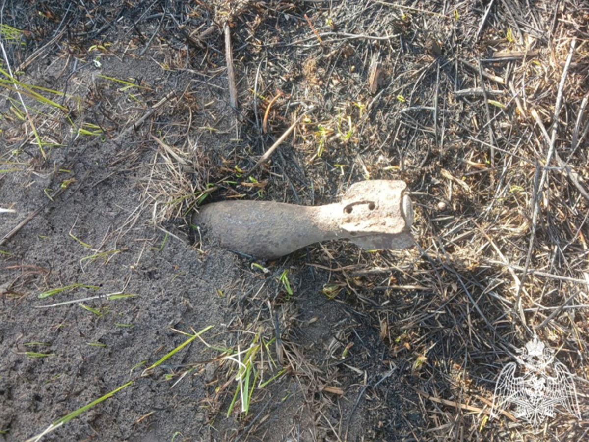 В Рязанском районе нашли и обезвредили мину времен Великой Отечественной войны