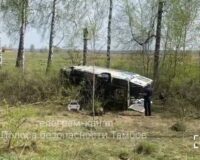 После смертельного ДТП под Тамбовом с участием социального такси началась проверка