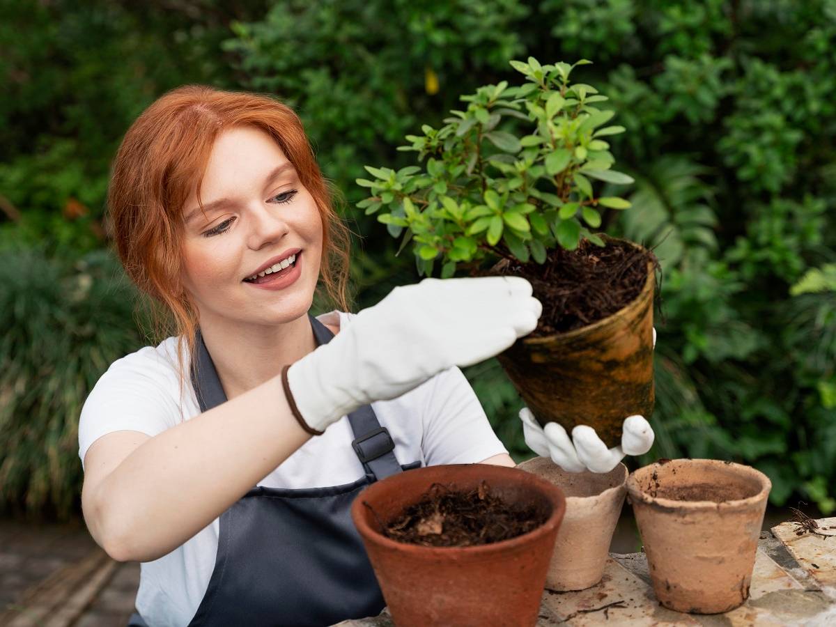 Рассада плохо растет: кто виноват и что делать?