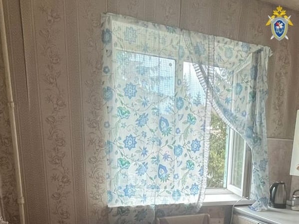 В Тульской области двухлетняя девочка выпала из окна четвертого этажа