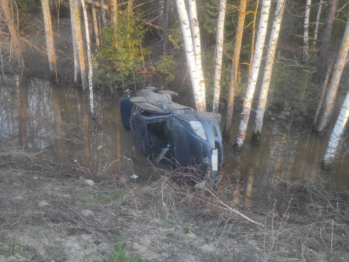 В Рязанской области легковушка улетела в кювет, перевернулась и попала в огромную лужу