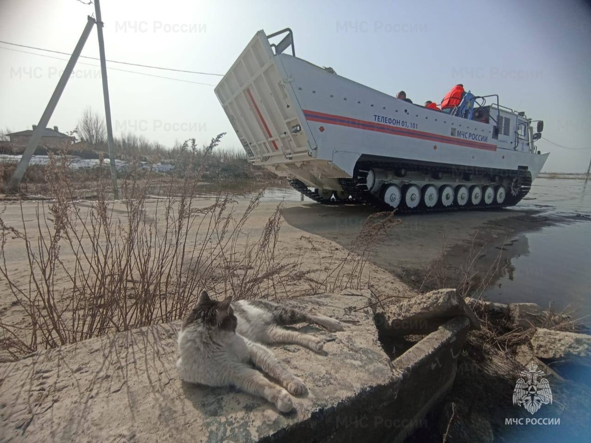 В Рязанской области из-за половодья отрезано девять населенных пунктов