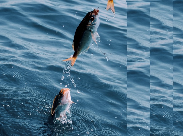 В Тамбовской области задержали рыбака-браконьера со 100 кило улова