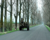 Житель Александро-Невского района Рязанской области на лошади ограбил ферму