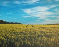 d-o-m-i-n-i-k-j-p-w-ygcodo61k3e-unsplash10212651527