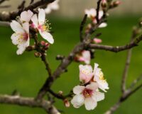 Удачу отпугнешь на годы: какую одежду нельзя носить в день Евтихия и Еремы