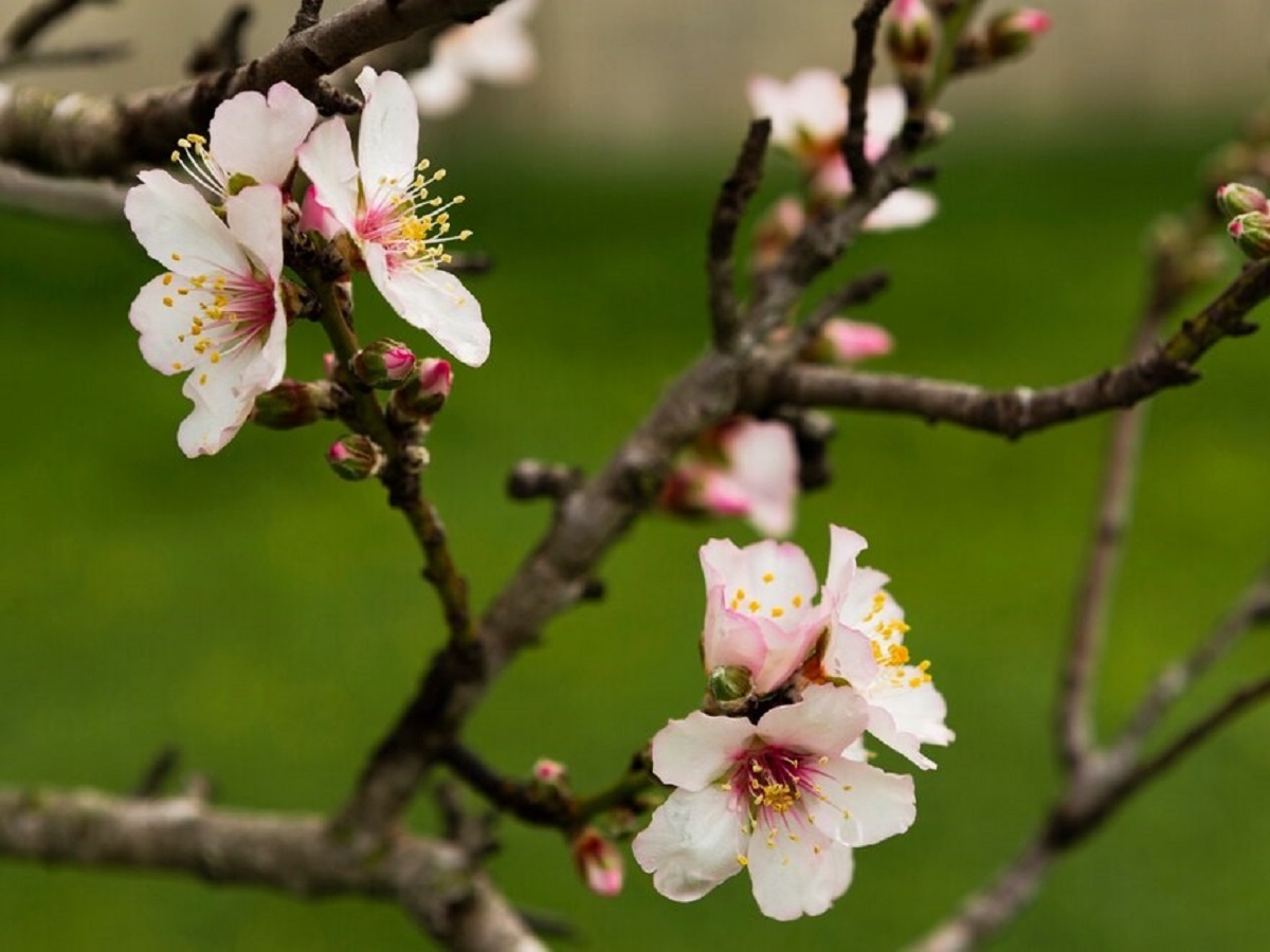 Удачу отпугнешь на годы: какую одежду нельзя носить в день Евтихия и Еремы