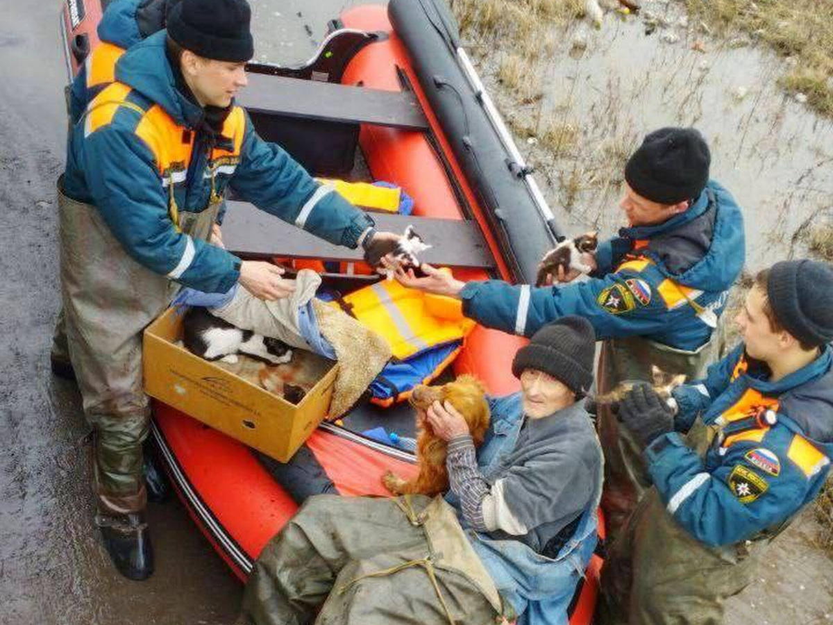 Спасенный дедушка